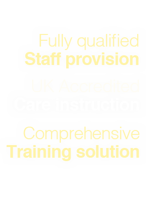 healthcare training providers